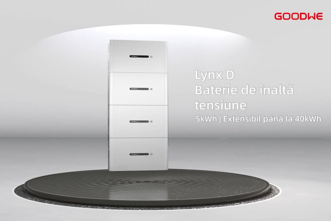 LynxD_RO_-679.jpg