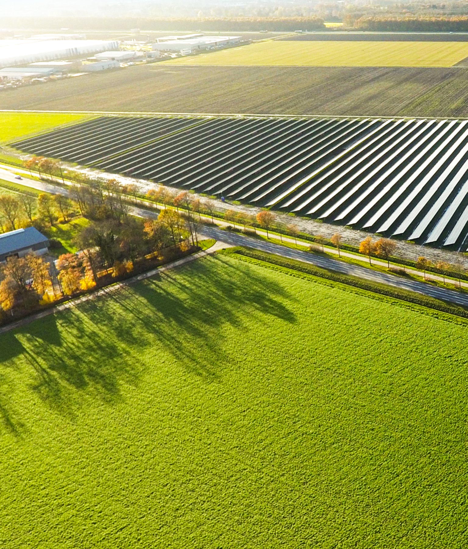 CASE STUDYCASE STUDY-GOODWE